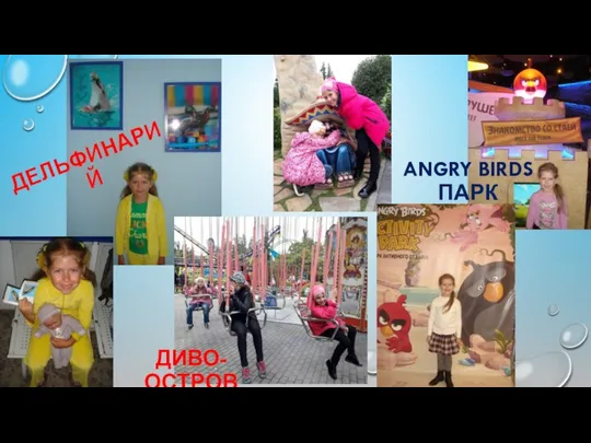 ДЕЛЬФИНАРИЙ ANGRY BIRDS ПАРК ДИВО-ОСТРОВ