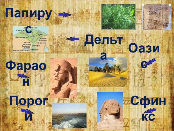 Папирус Дельта Оазис Сфинкс Фараон Пороги