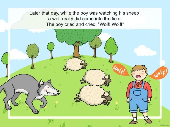 Later that day, while the boy was watching his sheep, a wolf