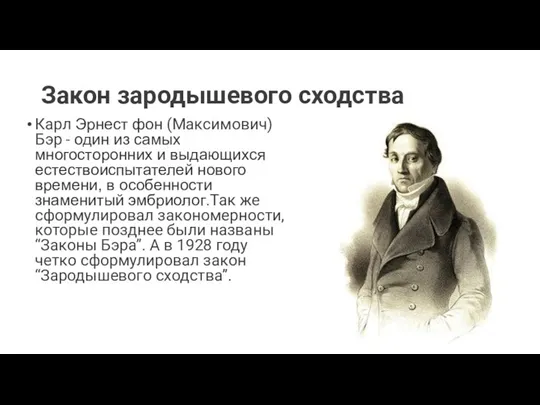 Закон зародышевого сходства Карл Эрнест фон (Максимович) Бэр - один из самых