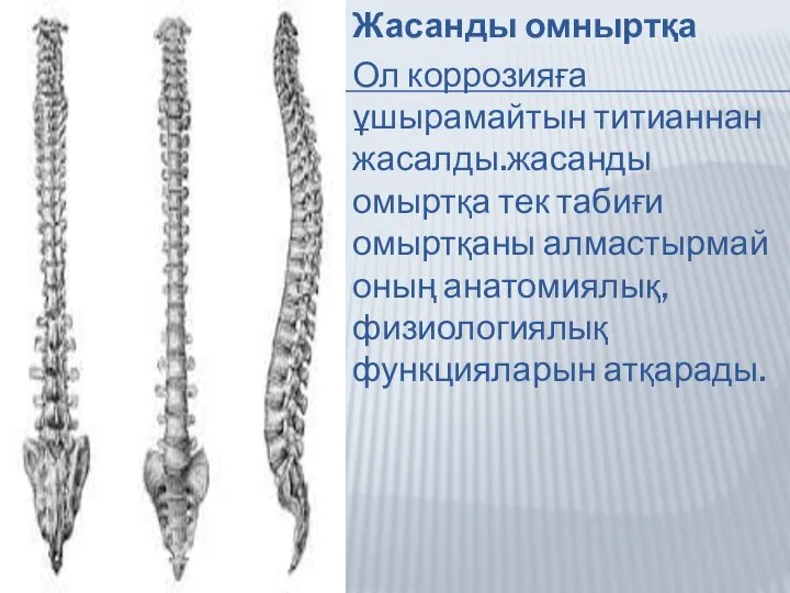 Жасанды омныртқа Ол коррозияға ұшырамайтын титианнан жасалды.жасанды омыртқа тек табиғи омыртқаны алмастырмай оның анатомиялық,физиологиялық функцияларын атқарады.