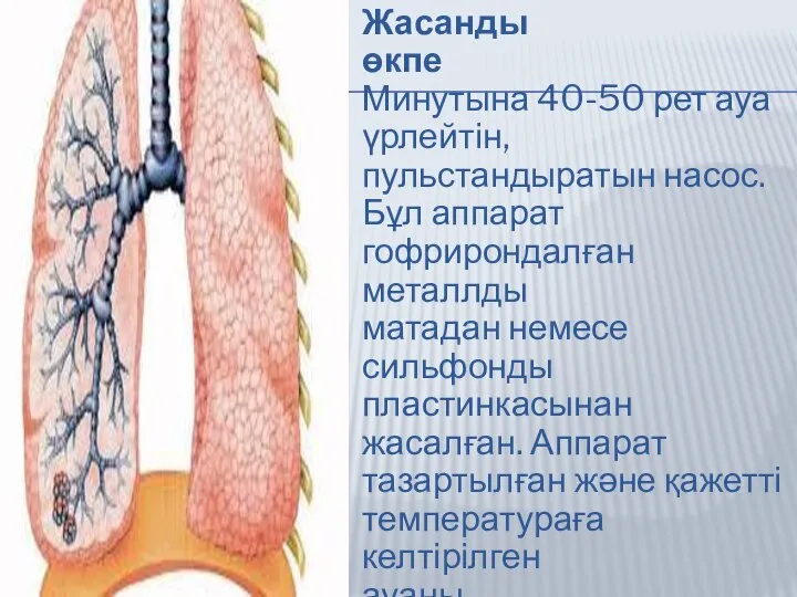 Жасанды өкпе Минутына 40-50 рет ауа үрлейтін, пульстандыратын насос. Бұл аппарат гофрирондалған