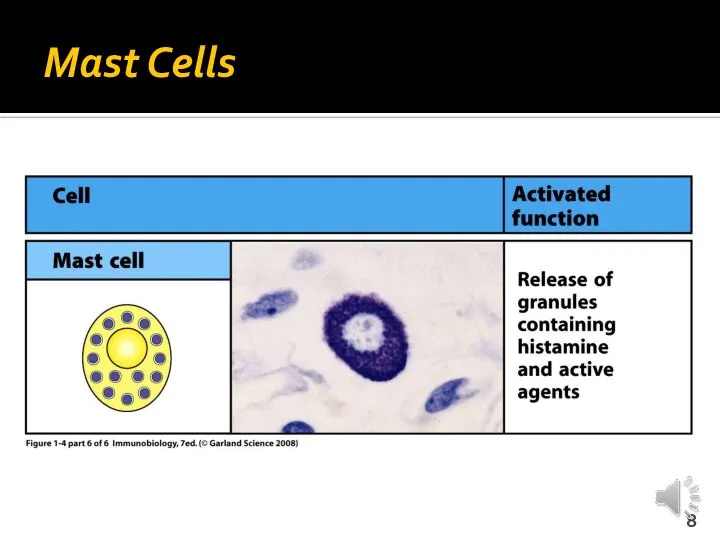 Mast Cells