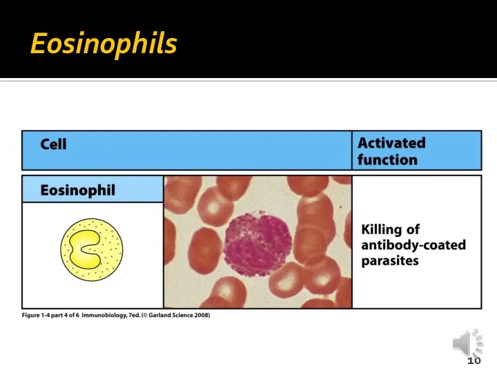 Eosinophils