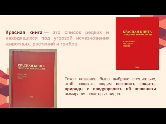 Красная книга — это список редких и находящихся под угрозой исчезновения животных,