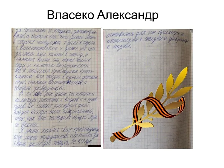 Власеко Александр