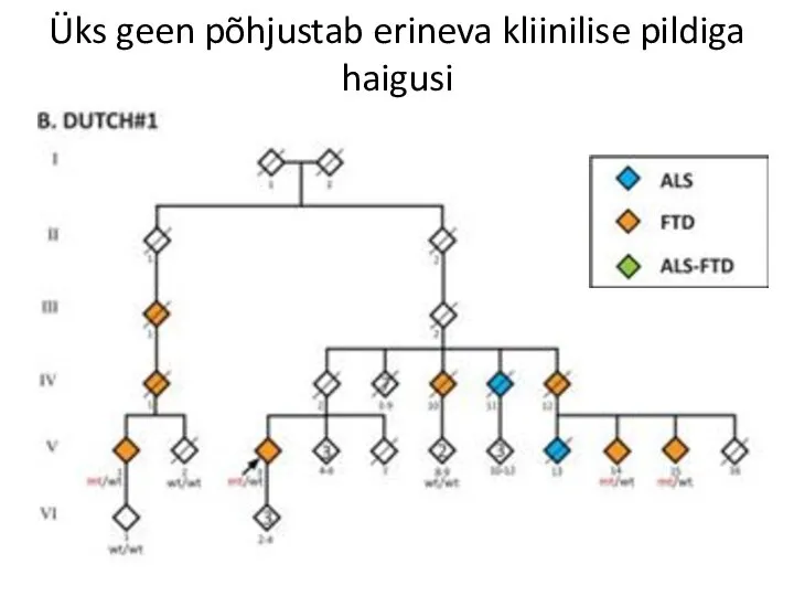 Üks geen põhjustab erineva kliinilise pildiga haigusi