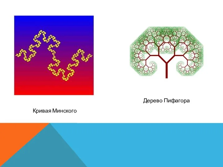 Дерево Пифагора Кривая Минского