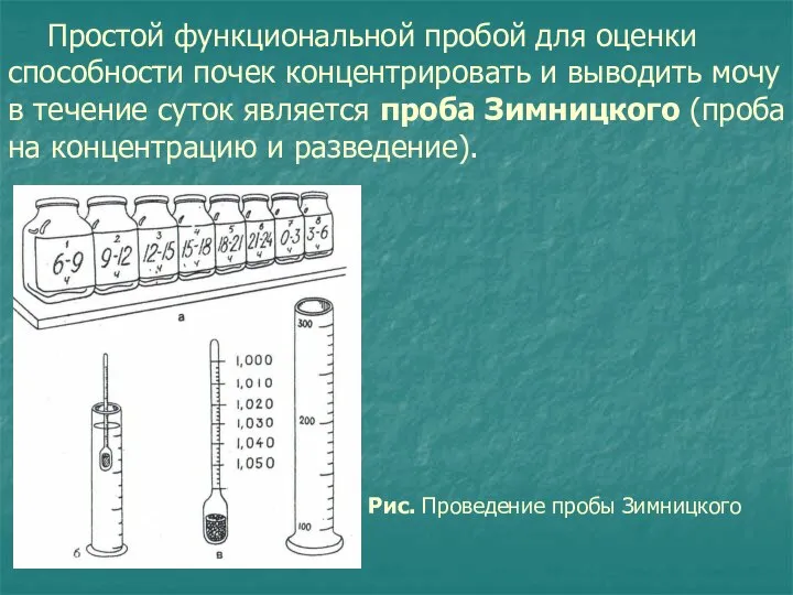 Простой функциональной пробой для оценки способности почек концентрировать и выводить мочу в