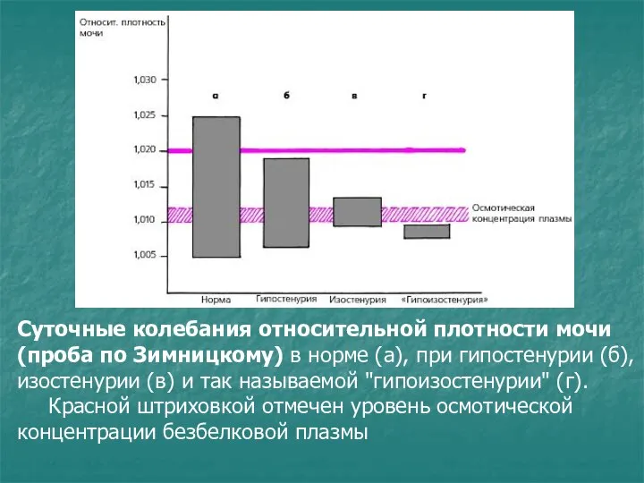 Суточные колебания относительной плотности мочи (проба по Зимницкому) в норме (а), при