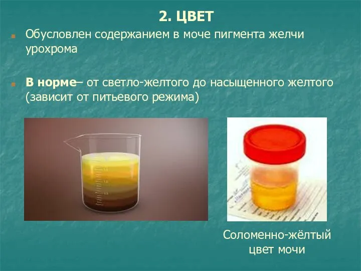 2. ЦВЕТ Обусловлен содержанием в моче пигмента желчи урохрома В норме– от