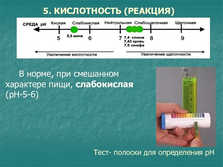 В норме, при смешанном характере пищи, слабокислая (рН-5-6) 5. КИСЛОТНОСТЬ (РЕАКЦИЯ) Тест- полоски для определения рН