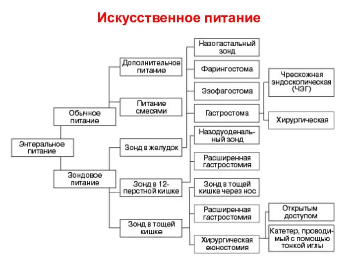 Искусственное питание