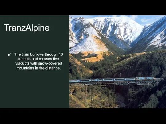 TranzAlpine The train burrows through 16 tunnels and crosses five viaducts with