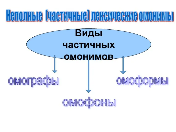 Виды частичных омонимов омографы омофоны омоформы Неполные (частичные) лексические омонимы