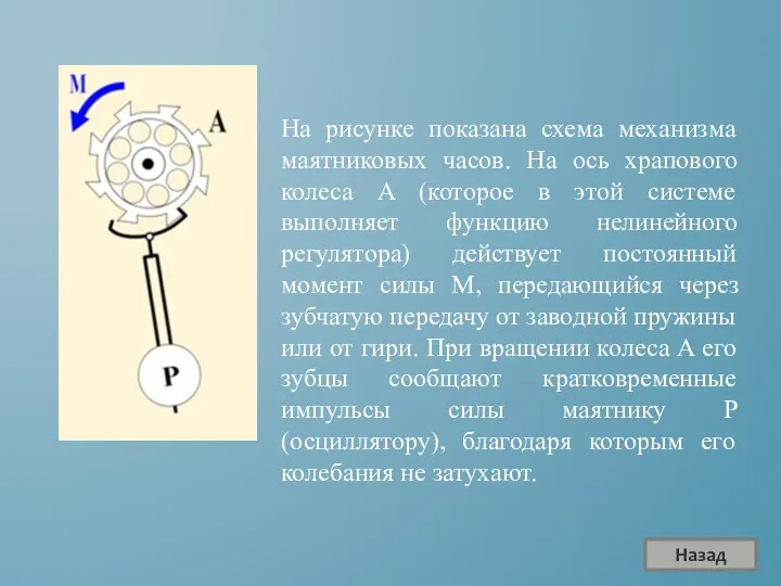 На рисунке показана схема механизма маятниковых часов. На ось храпового колеса A