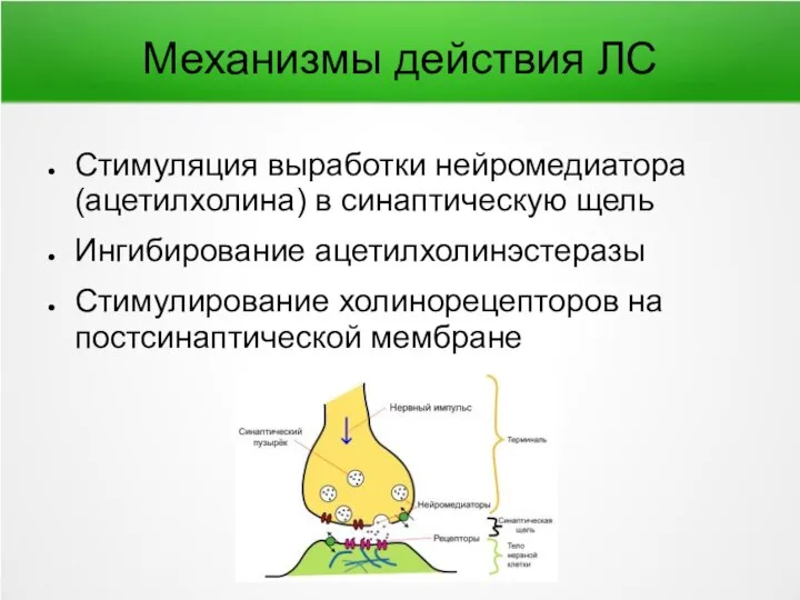 Механизмы действия ЛС Стимуляция выработки нейромедиатора (ацетилхолина) в синаптическую щель Ингибирование ацетилхолинэстеразы