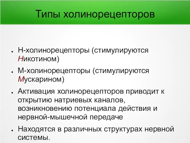 Типы холинорецепторов Н-холинорецепторы (стимулируются Никотином) М-холинорецепторы (стимулируются Мускарином) Активация холинорецепторов приводит к