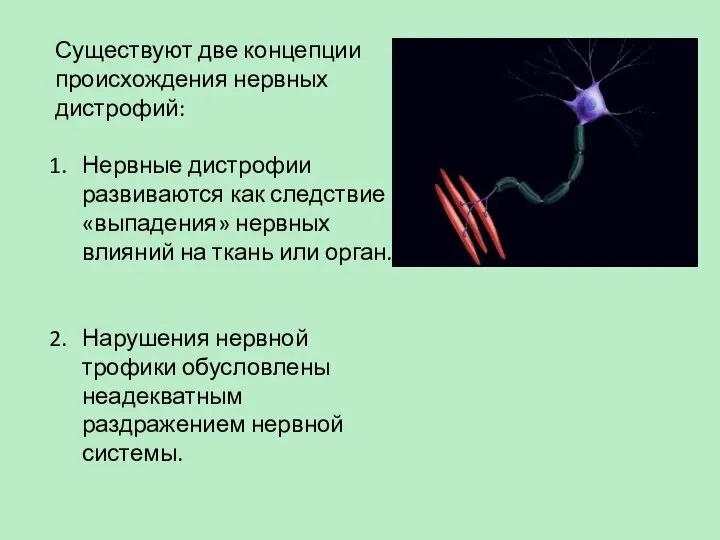 Существуют две концепции происхождения нервных дистрофий: Нервные дистрофии развиваются как следствие «выпадения»