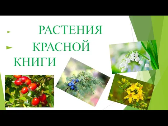 РАСТЕНИЯ КРАСНОЙ КНИГИ