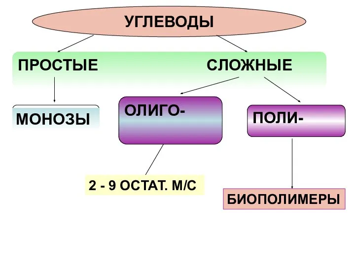 ПРОСТЫЕ СЛОЖНЫЕ УГЛЕВОДЫ ОЛИГО- ПОЛИ- МОНОЗЫ 2 - 9 ОСТАТ. М/С БИОПОЛИМЕРЫ