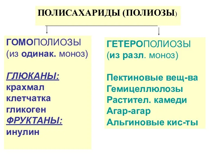 ПОЛИСАХАРИДЫ (ПОЛИОЗЫ) ГОМОПОЛИОЗЫ (из одинак. моноз) ГЛЮКАНЫ: крахмал клетчатка гликоген ФРУКТАНЫ: инулин