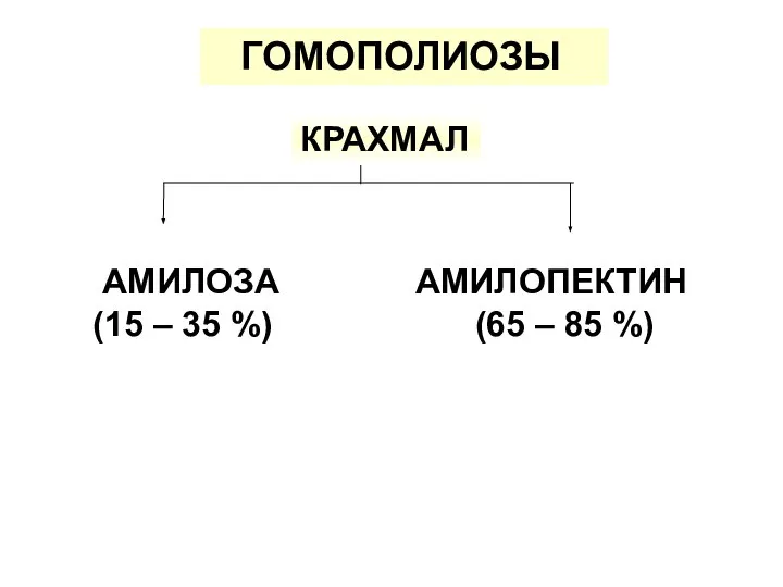 ГОМОПОЛИОЗЫ КРАХМАЛ