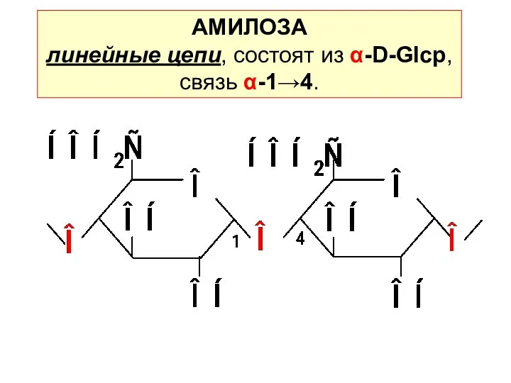АМИЛОЗА линейные цепи, состоят из α-D-Glcp, связь α-1→4.