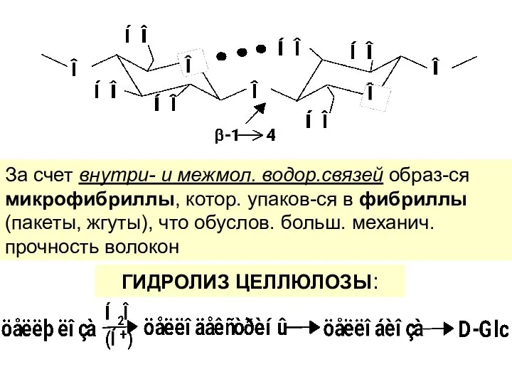 За счет внутри- и межмол. водор.связей образ-ся микрофибриллы, котор. упаков-ся в фибриллы