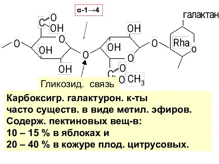 α-1→4 Карбоксигр. галактурон. к-ты часто существ. в виде метил. эфиров. Содерж. пектиновых