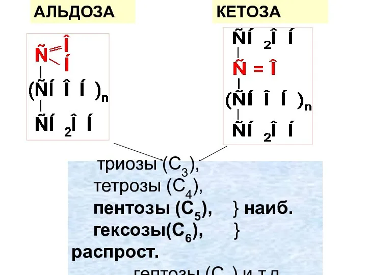 триозы (С3), тетрозы (С4), пентозы (С5), } наиб. гексозы(C6), } распрост. гептозы