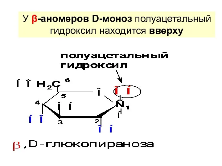 У β-аномеров D-моноз полуацетальный гидроксил находится вверху