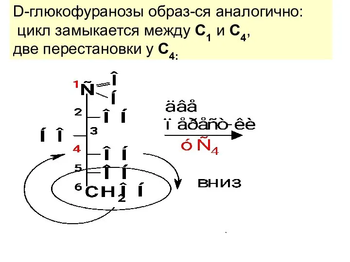 D-глюкофуранозы образ-ся аналогично: цикл замыкается между С1 и С4, две перестановки у С4:
