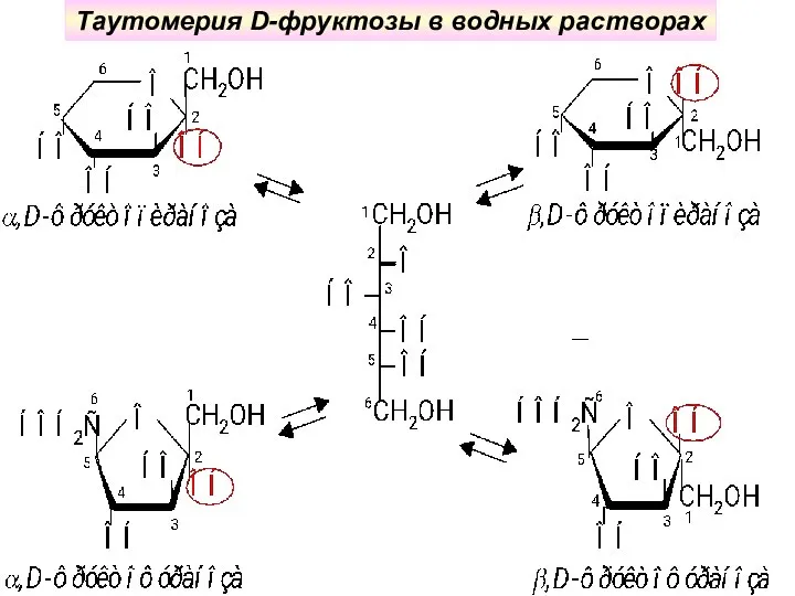 Таутомерия D-фруктозы в водных растворах