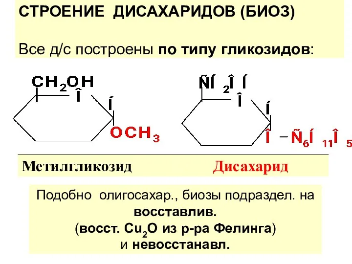 СТРОЕНИЕ ДИСАХАРИДОВ (БИОЗ) Все д/с построены по типу гликозидов: Подобно олигосахар., биозы