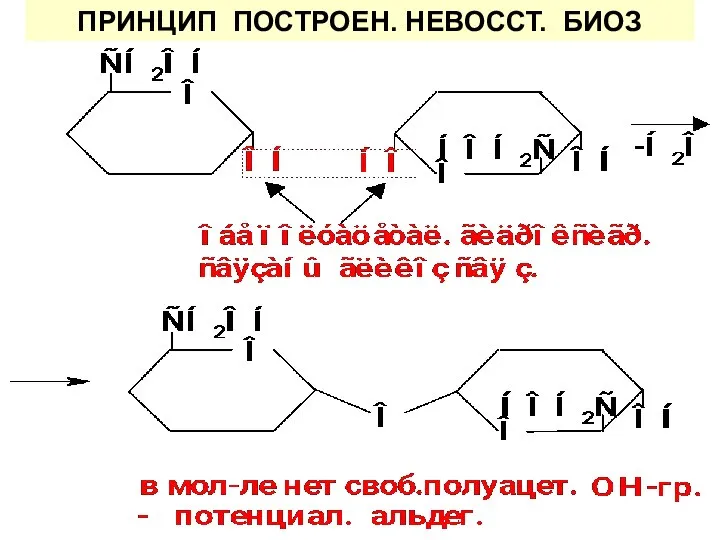 ПРИНЦИП ПОСТРОЕН. НЕВОССТ. БИОЗ