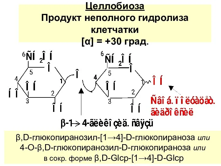 Целлобиоза Продукт неполного гидролиза клетчатки [α] = +30 град. β,D-глюкопиранозил-[1→4]-D-глюкопираноза или 4-О-β,D-глюкопиранозил-D-глюкопираноза