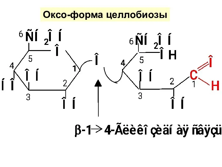 Оксо-форма целлобиозы