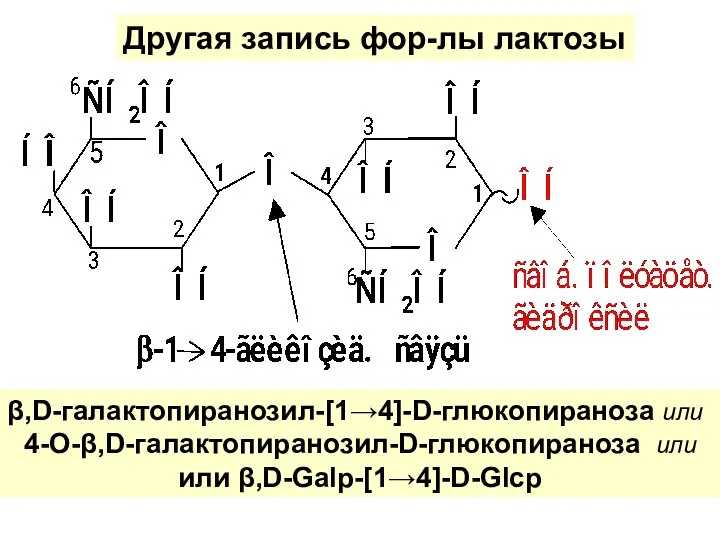 β,D-галактопиранозил-[1→4]-D-глюкопираноза или 4-О-β,D-галактопиранозил-D-глюкопираноза или или β,D-Galp-[1→4]-D-Glср Другая запись фор-лы лактозы