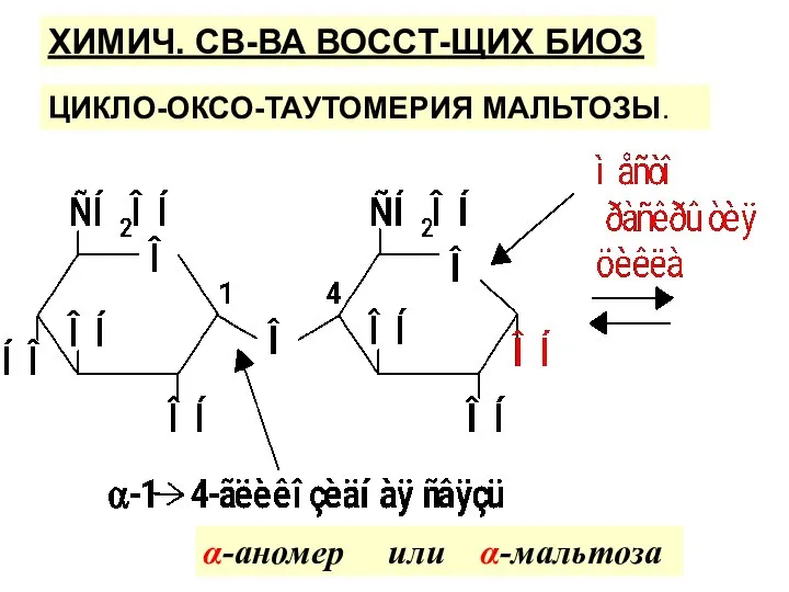 ЦИКЛО-ОКСО-ТАУТОМЕРИЯ МАЛЬТОЗЫ. α-аномер или α-мальтоза ХИМИЧ. СВ-ВА ВОССТ-ЩИХ БИОЗ