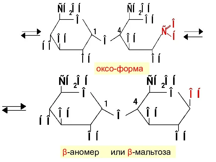 β-аномер или β-мальтоза оксо-форма