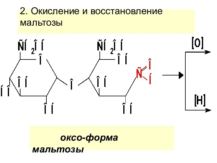 2. Окисление и восстановление мальтозы оксо-форма мальтозы