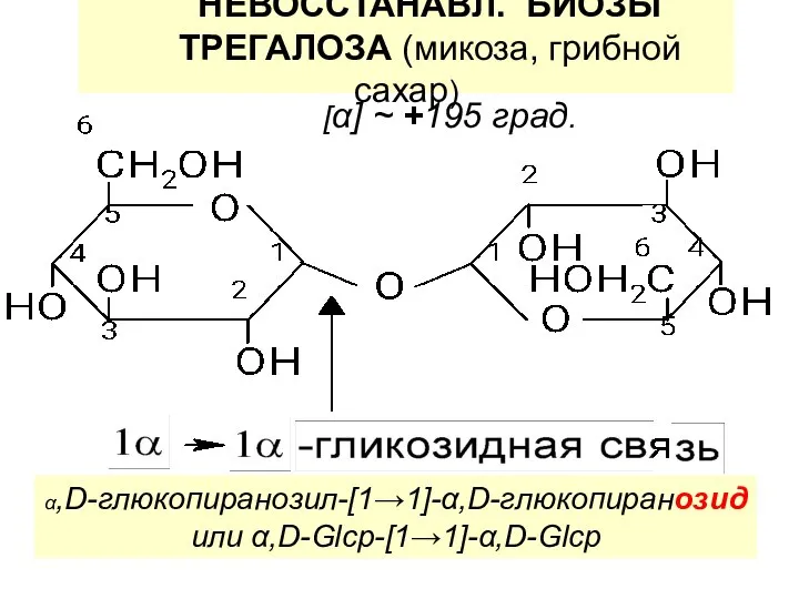 НЕВОССТАНАВЛ. БИОЗЫ ТРЕГАЛОЗА (микоза, грибной сахар) α,D-глюкопиранозил-[1→1]-α,D-глюкопиранозид или α,D-Glcp-[1→1]-α,D-Glcp [α] ~ +195 град.