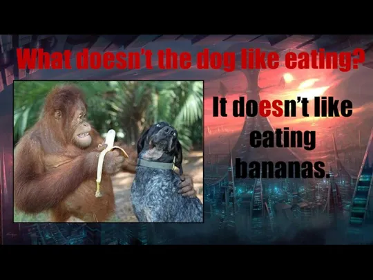 What doesn’t the dog like eating? It doesn’t like eating bananas.