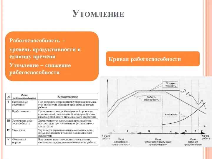 Утомление Работоспособность - уровень продуктивности в единицу времени Утомление – снижение работоспособности Кривая работоспособности