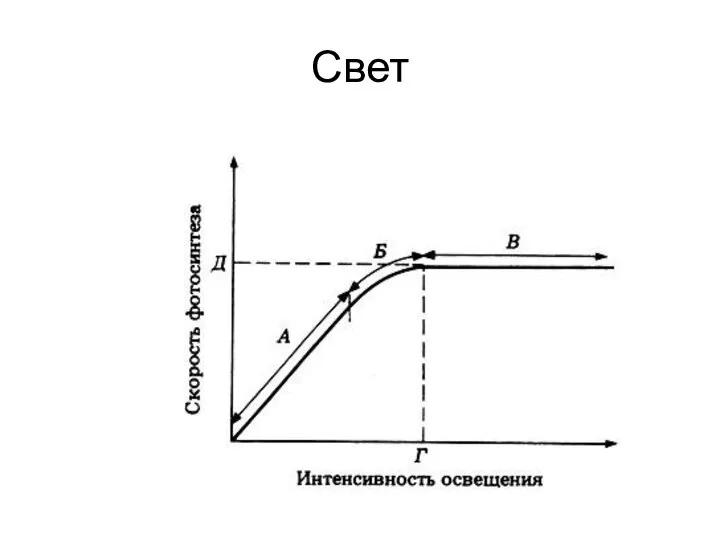 Свет