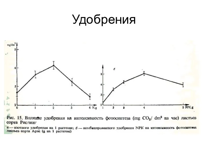 Удобрения