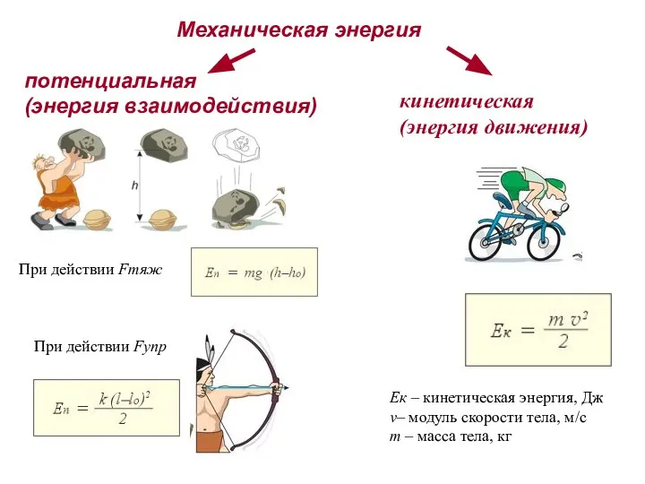 Механическая энергия потенциальная (энергия взаимодействия) При действии Fтяж При действии Fупр кинетическая