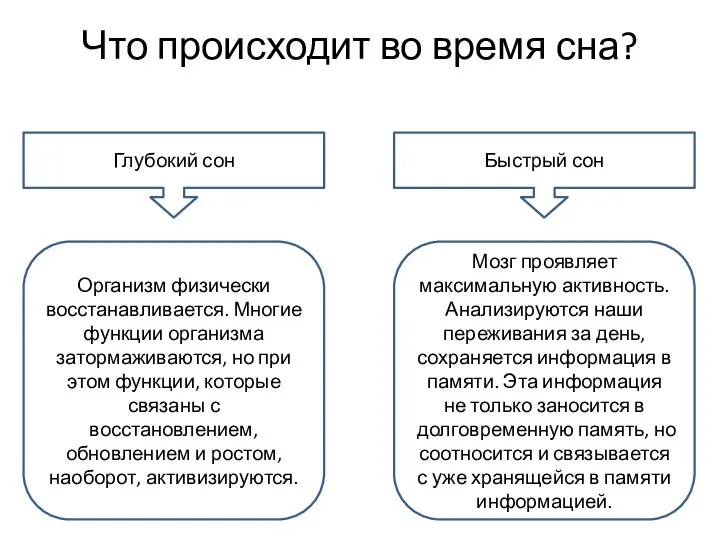 Быстрый сон Глубокий сон Организм физически восстанавливается. Многие функции организма затормаживаются, но