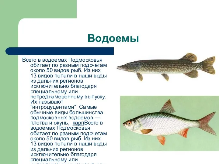 Водоемы Всего в водоемах Подмосковья обитает по разным подсчетам около 50 видов